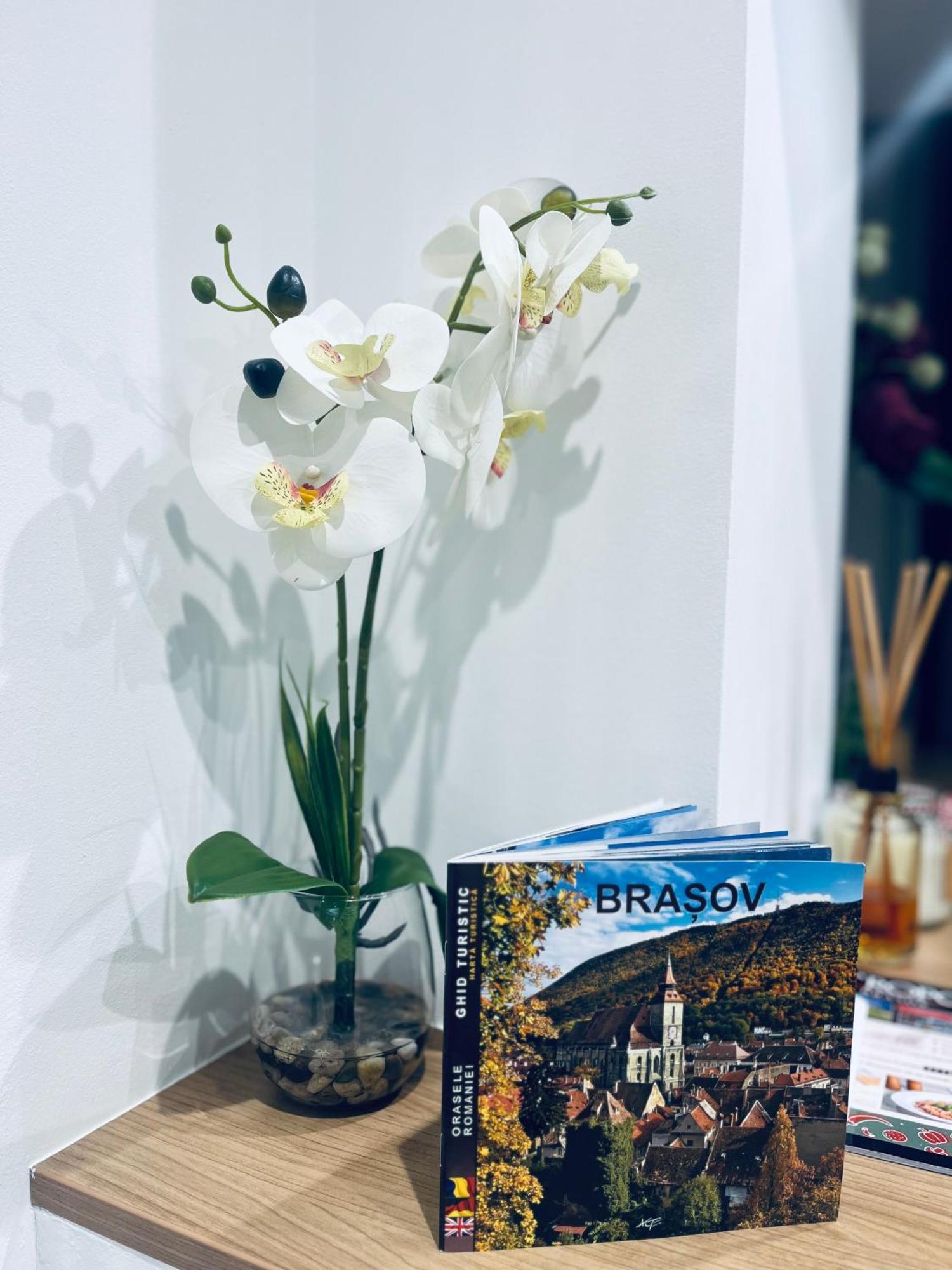 Studio Kronstadt - Gara Brasov Ngoại thất bức ảnh